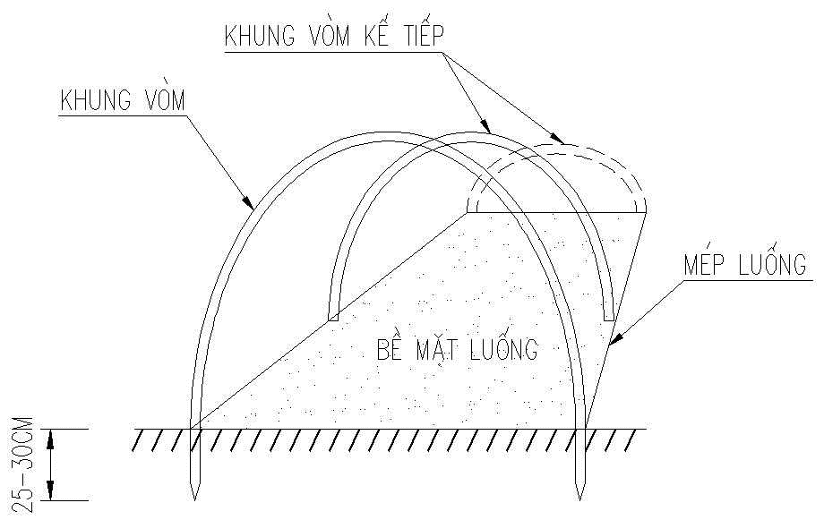 khung bước 3_1702884899.png